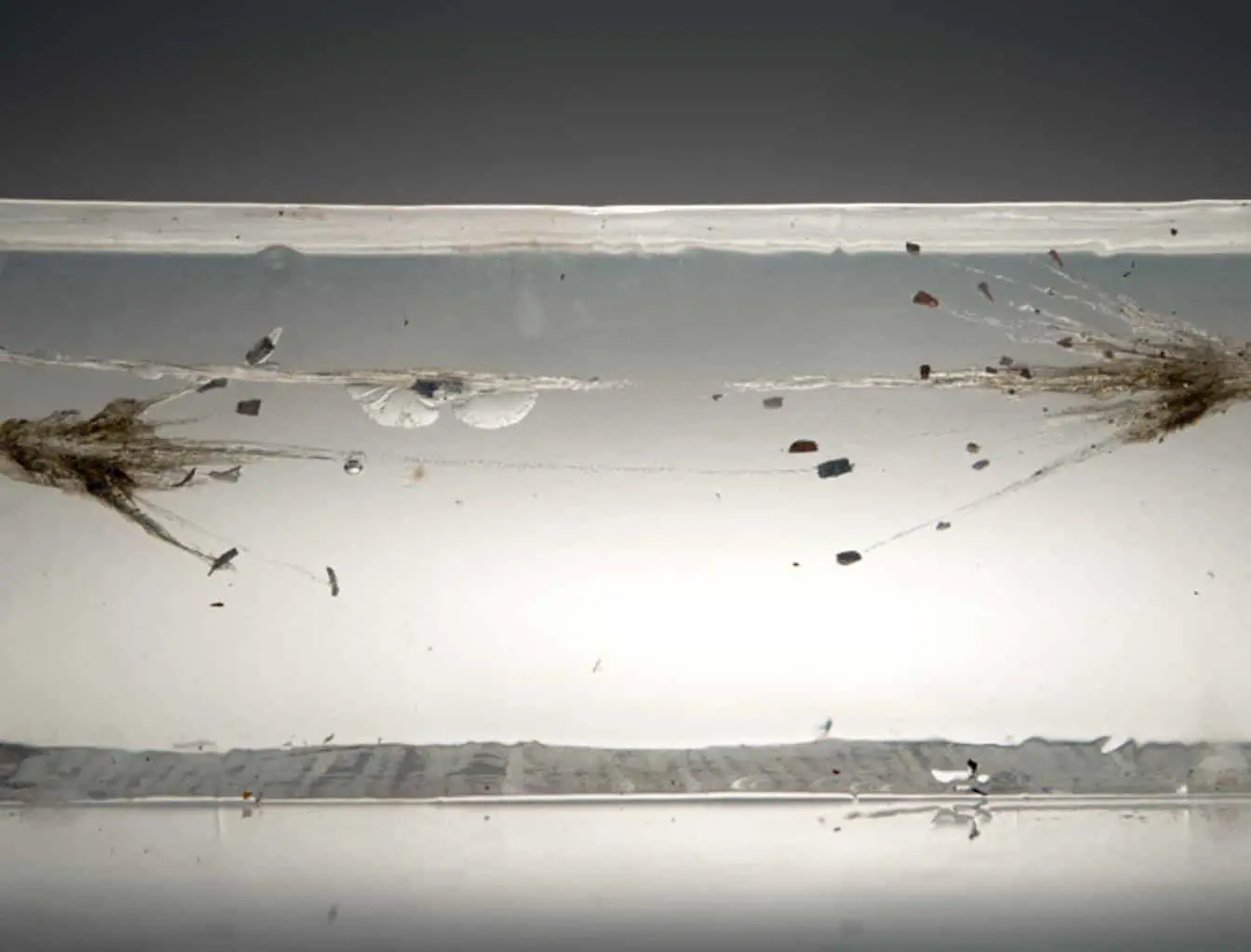 Fragments of bullet inside ballistic gel